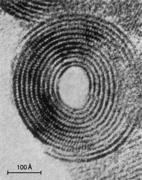 Le chrysotile, une fibre enroulée sur elle-même.
