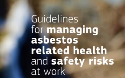 Lignes Directrices Européennes pour la gestion de l&rsquo;amiante