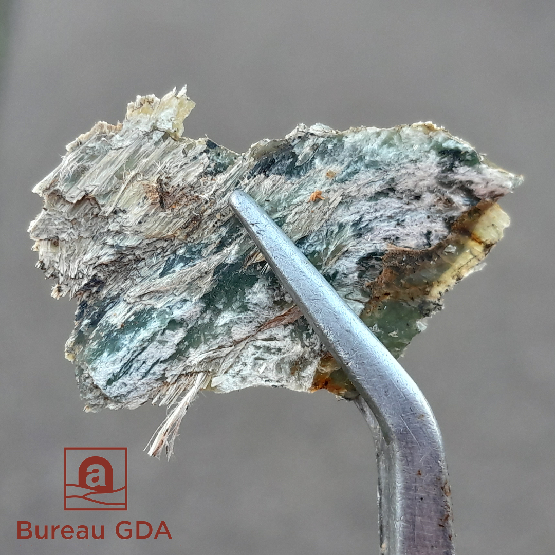 Prélèvement de roche amiantifère à la pince, Chrysotile probable, Haute-Corse