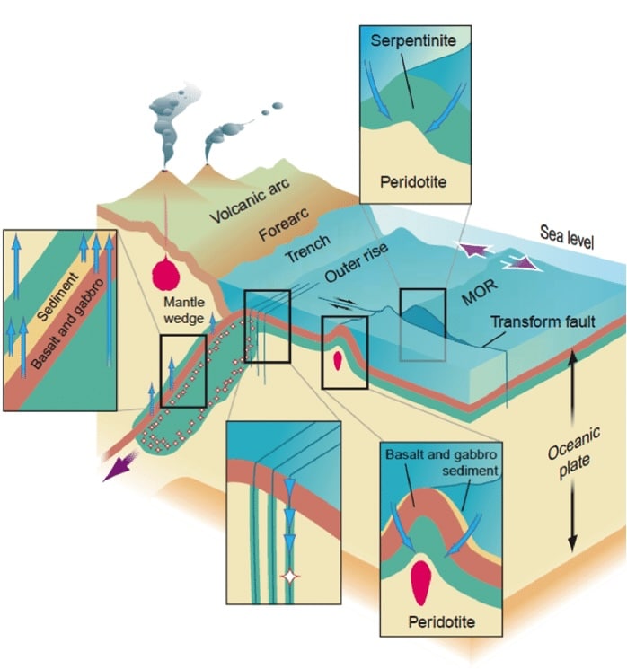 Les deux contextes géodynamiques propices à la serpentinisation: la dorsale océanique et la zone de subduction (coin mantellique).