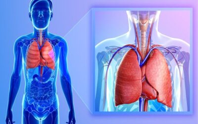 Quels effets sur la santé pour l’Amiante Environnemental ?