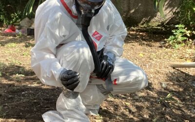 Amiante Environnemental et sous-section 4 (SS4)