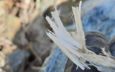 Le chrysotile : entre géologie, industrie et héritage